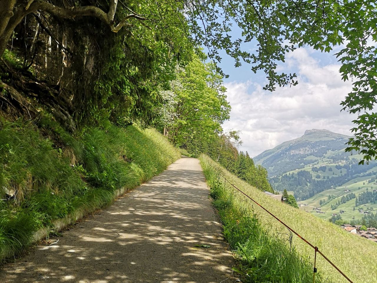 Privater Heilpflanzen und Kräuterspaziergang in Adelboden