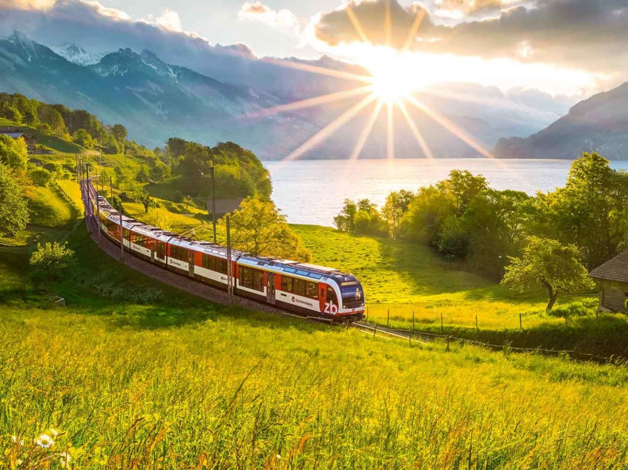 Ab Zürich: Exklusive Panoramazugreise und Jungfrau Region privater Tagesausflug