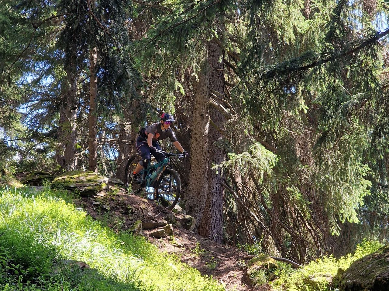 Individuelle geführte E‑Bike Tour Grindelwald