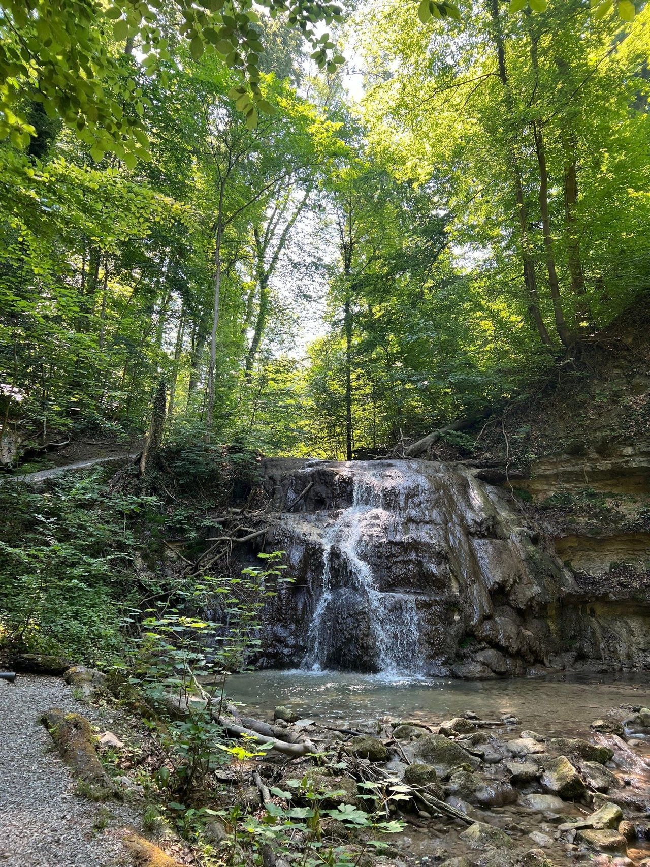 Privater Waldspaziergang und Dorfrundgang an der Goldküste in Erlenbach