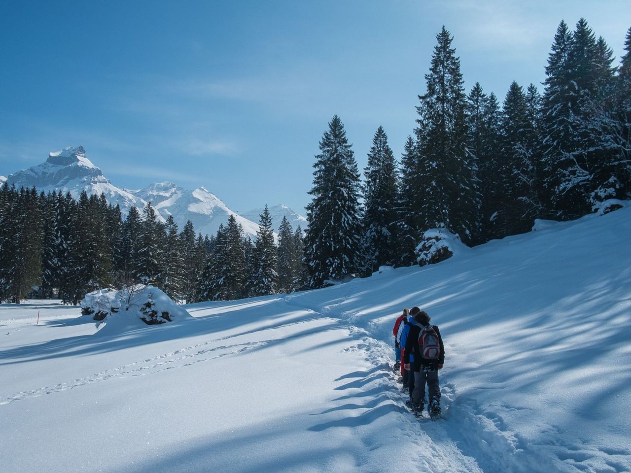 Schneeschuhtour Brunnihütte mit Schlitteln in Engelberg