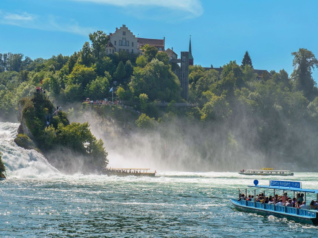 Ab Zürich: Tour im Reisebus zum Rheinfall halber Tag