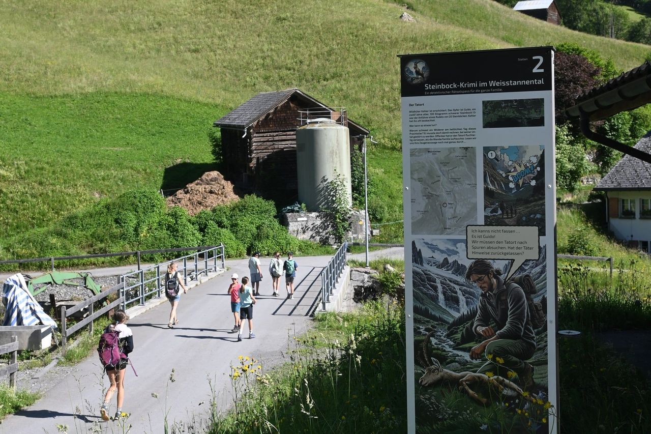 Le mystère du bouquetin dans la vallée de Weisstannen : randonnée-enquête avec un kit de détective