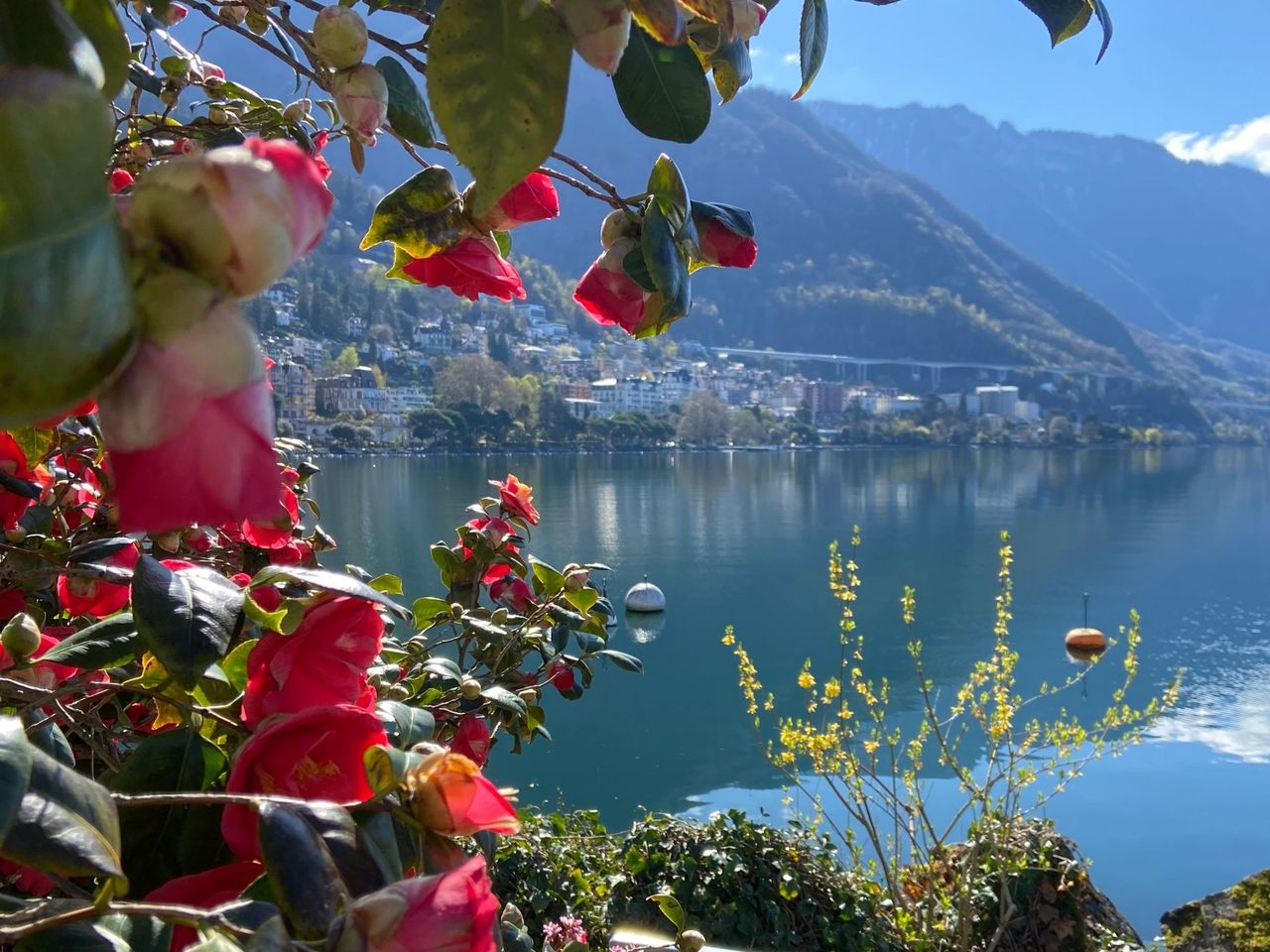 Private Stadtführung mit Bahnfahrt zum Rochers-de-Naye ab Montreux