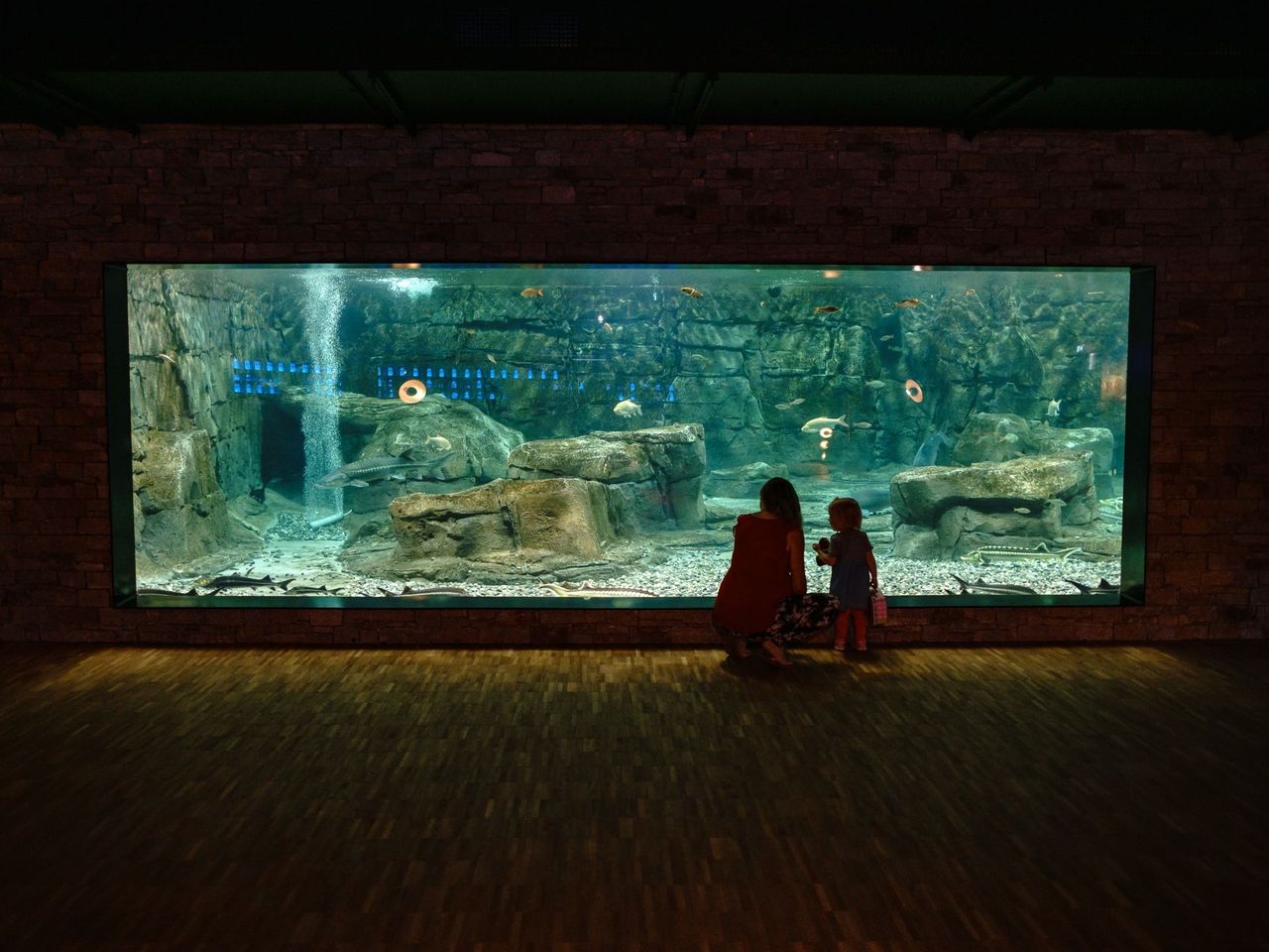 Ticket Aquarium in Langenthal
