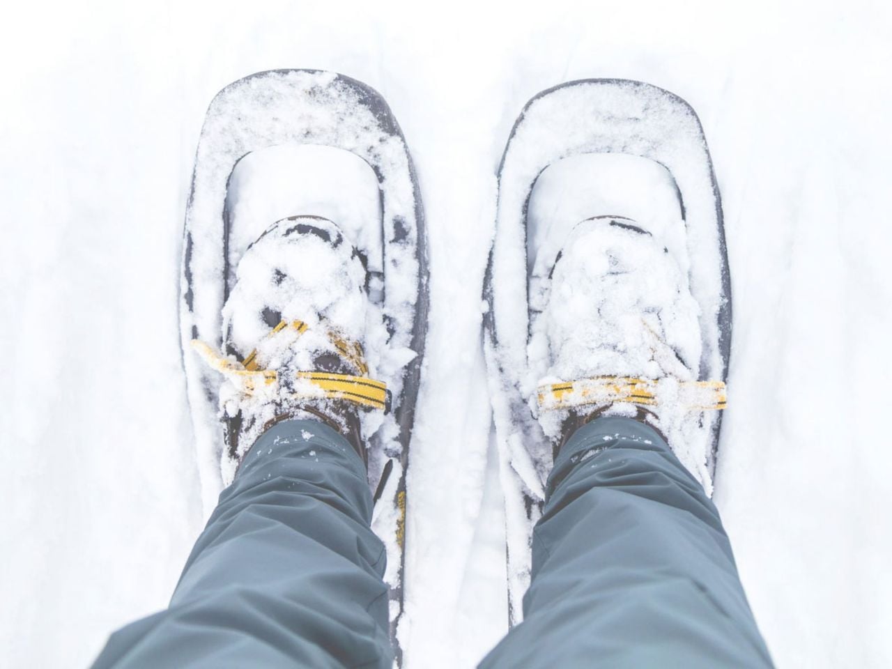 Private Snowshoe Tour Champéry