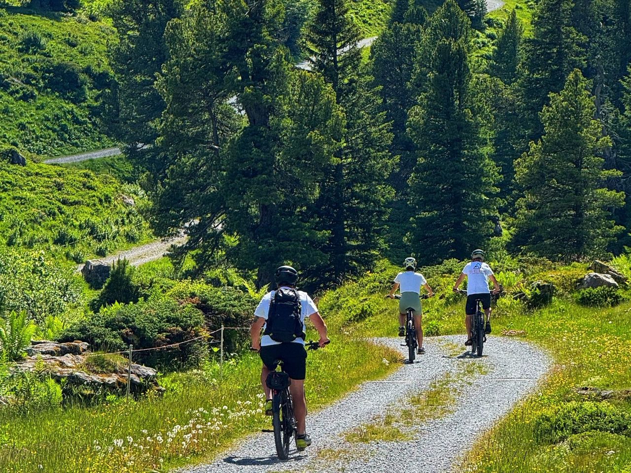 "Engstlenalp, See und Käsedegustation" - Private E-Bike-Tour ab Interlaken
