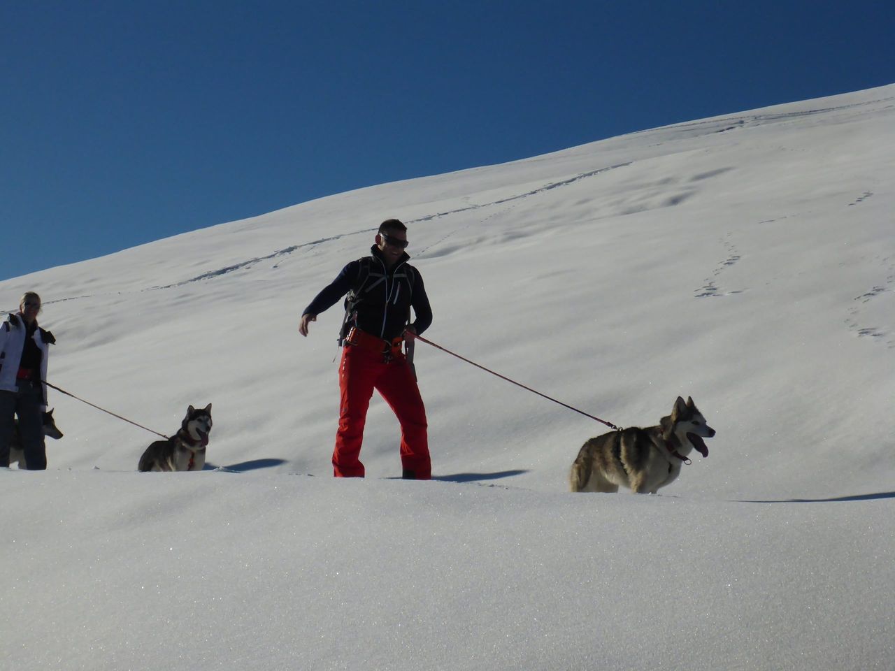 Husky Trekking with Fondue Experience in Ermenswil