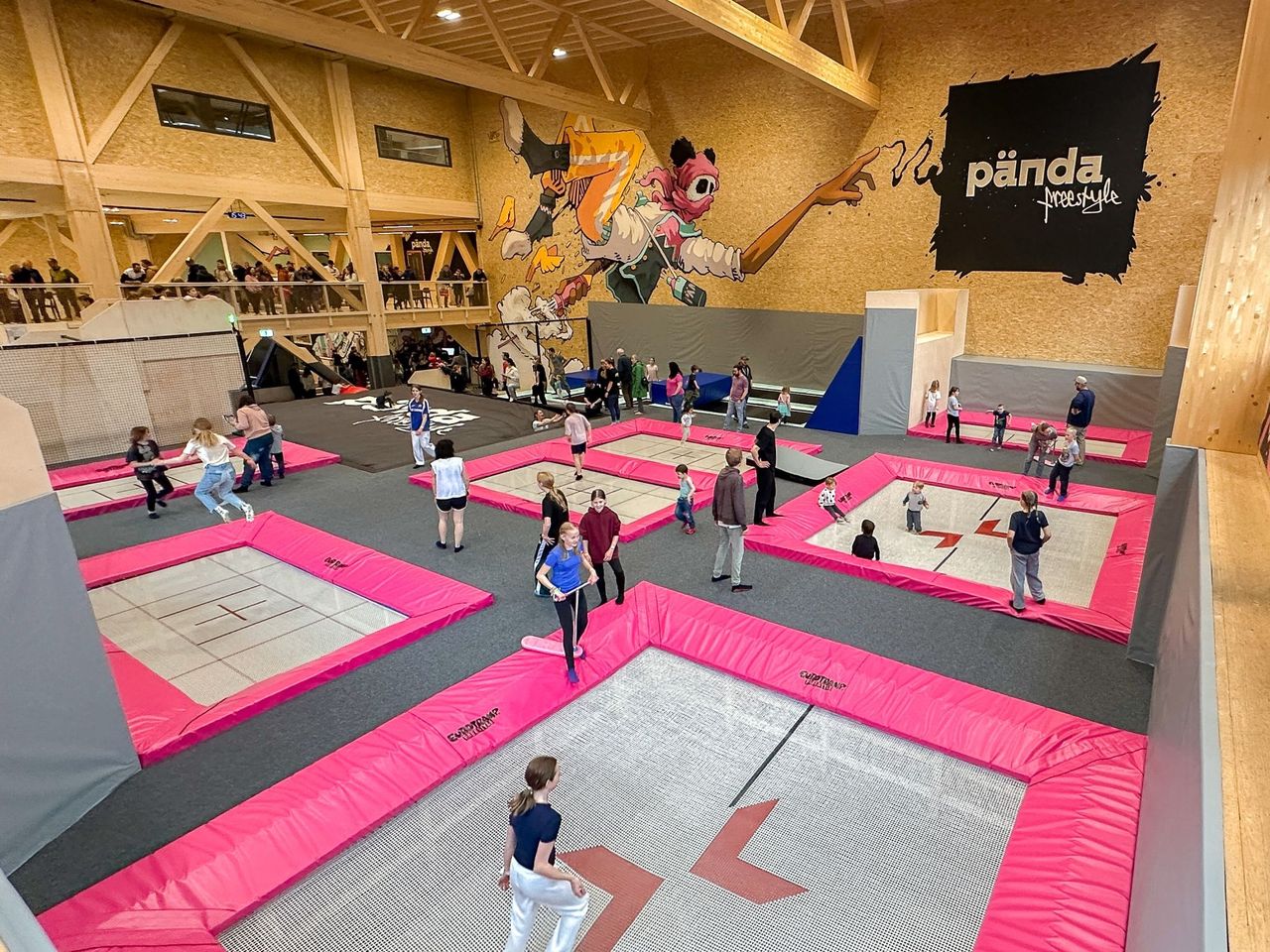 Trampoline and Skate Park in Wilderswil