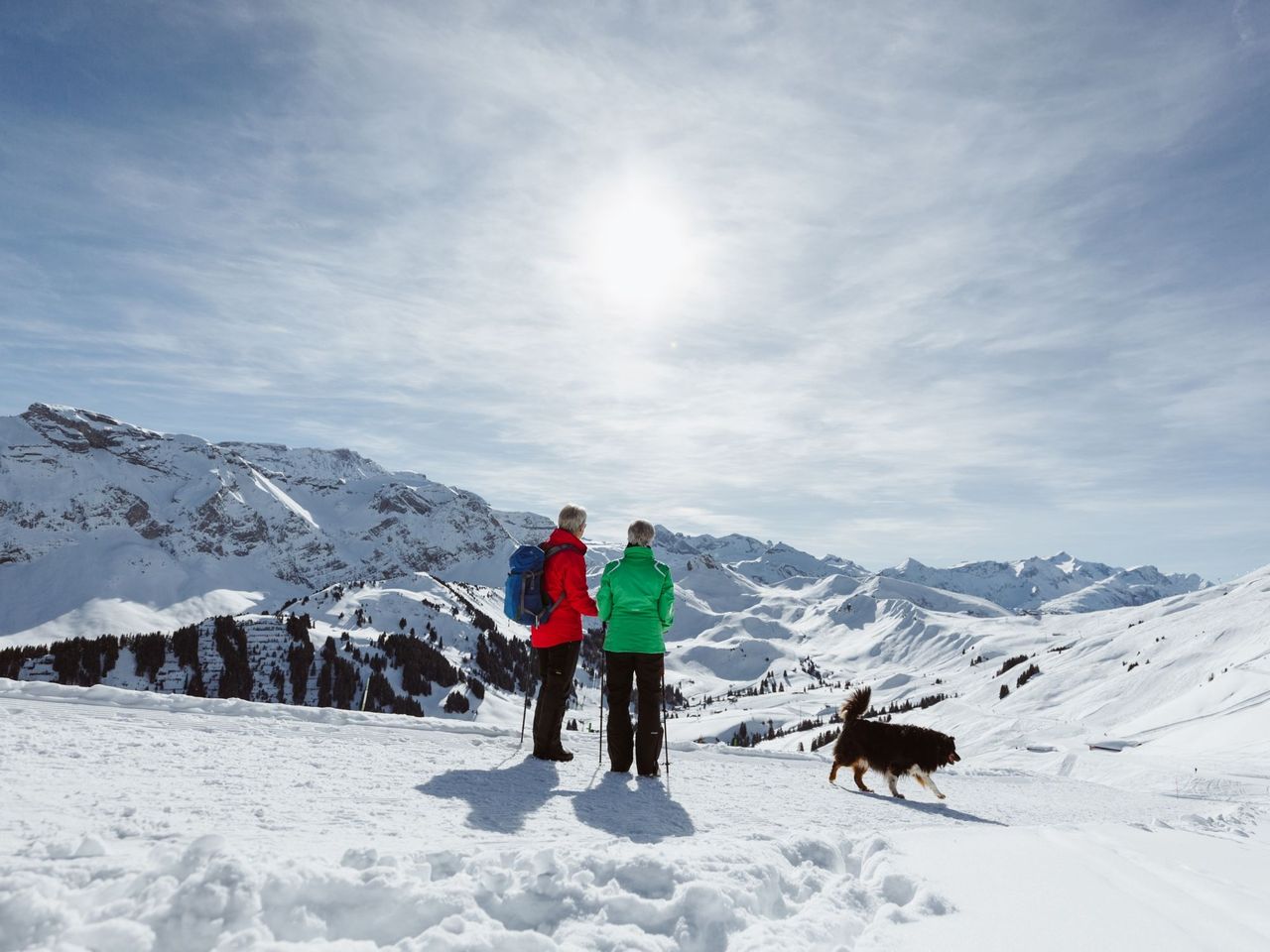 Winterwanderpass am VogellisiBerg