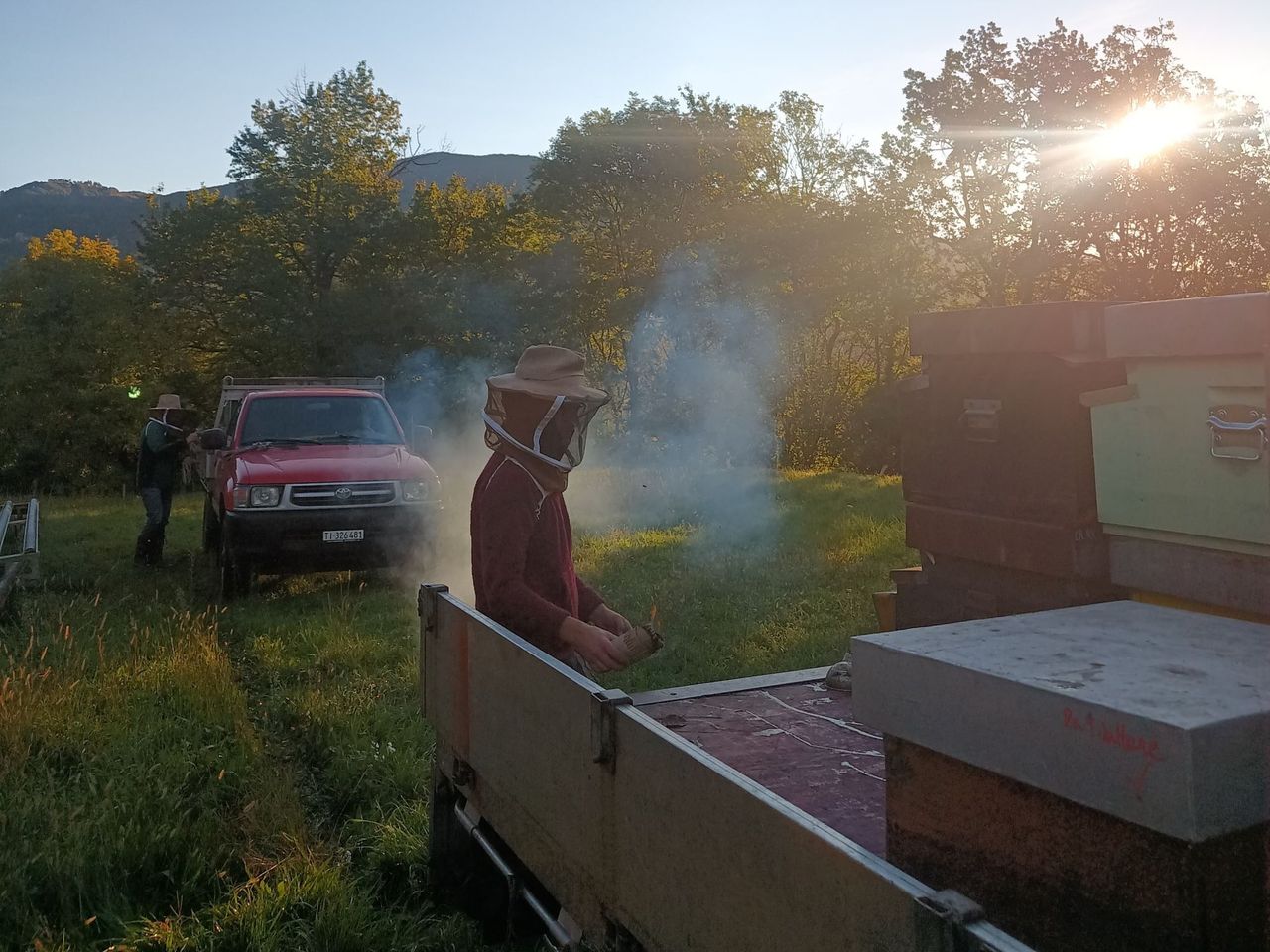 Bienenzucht Erlebnis in Arogno