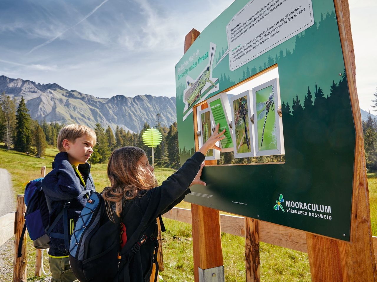 Brienzer Rothorn Ticket Seilbahn ab Sörenberg
