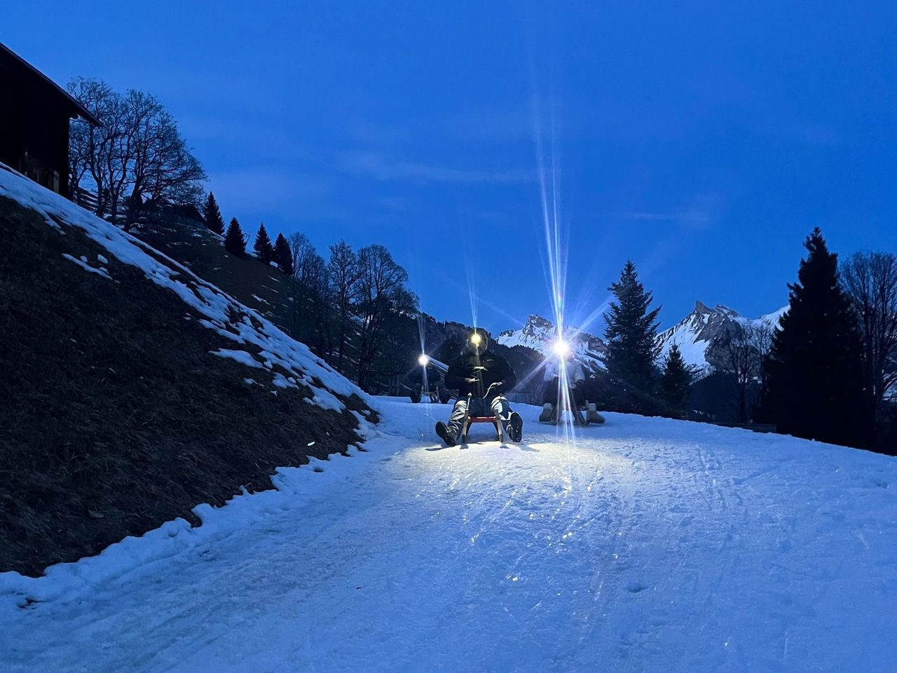 Nachtschlitteln mit Käsefondue geführt ab Interlaken