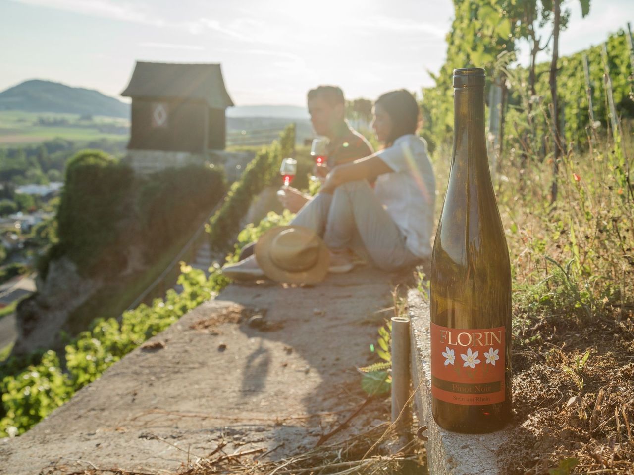 Private Degustation Wein und Käse in Stein am Rhein