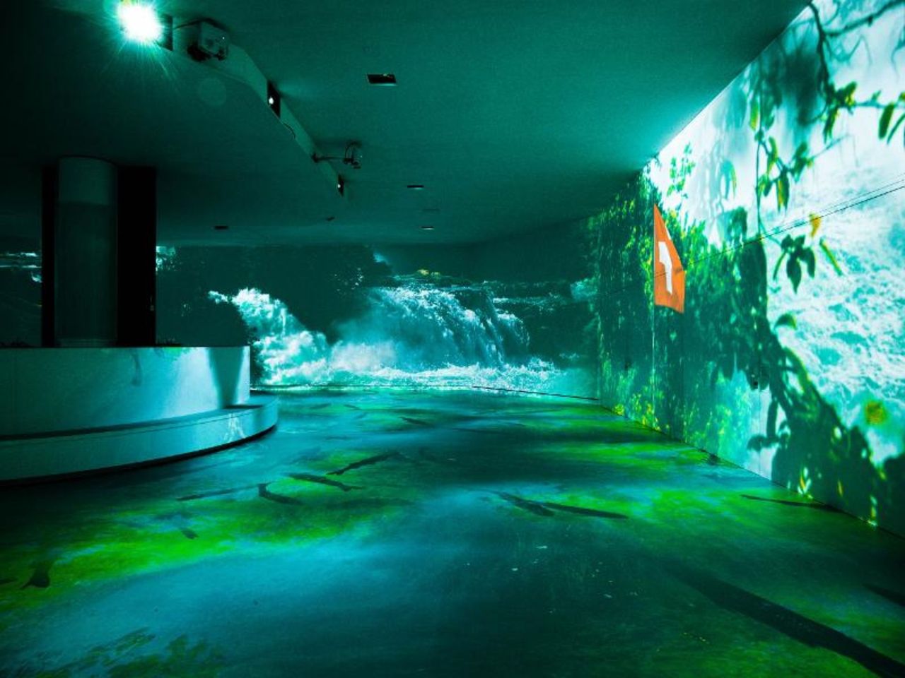 Ticket “Rhyality” immersive Ausstellung am Rheinfall