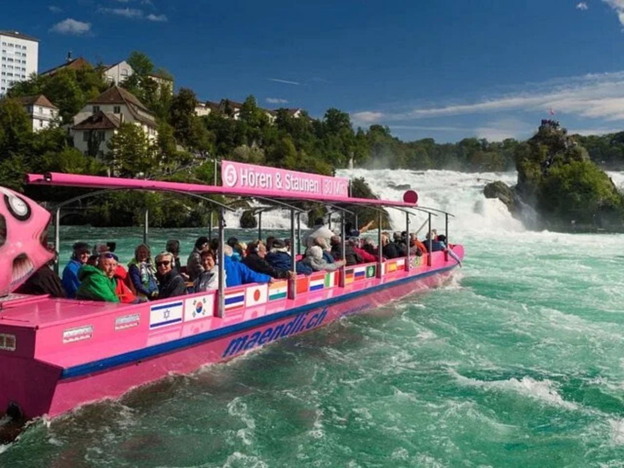 Ab Zürich: Rheinfall und Stein am Rhein private Tour