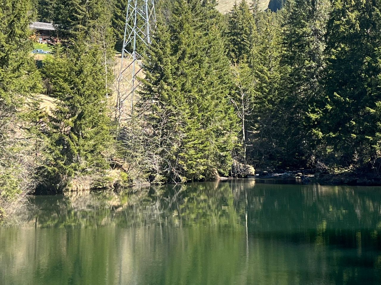 Grindelwald First und Bachalpsee private Wanderung mit einem Schweizer Triathleten ab Grindelwald