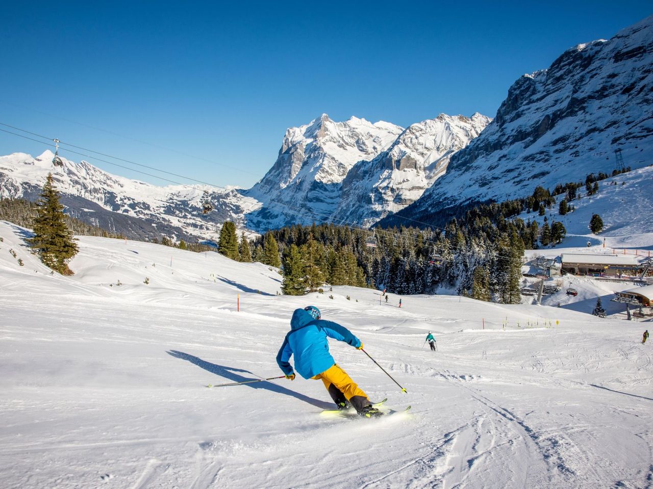 Grindelwald Ski Pass