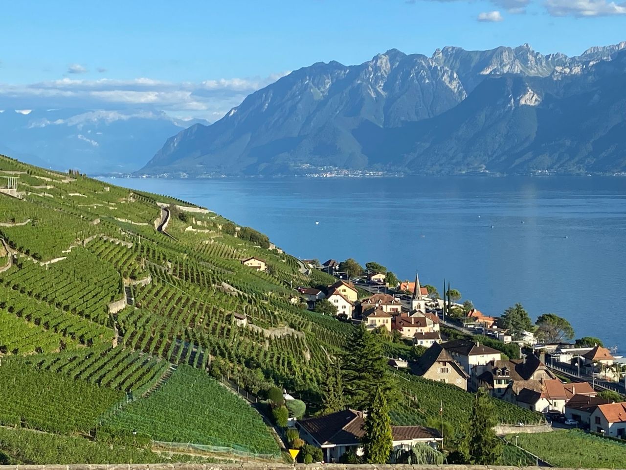 Private Weinwanderung in Lavaux ab Lausanne