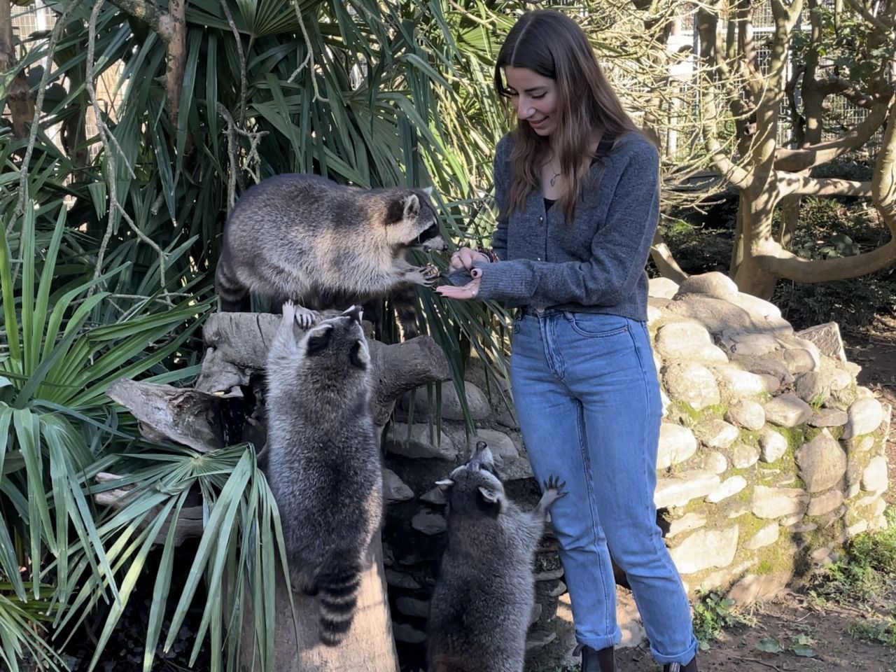 Animal experience at Zoo al Maglio