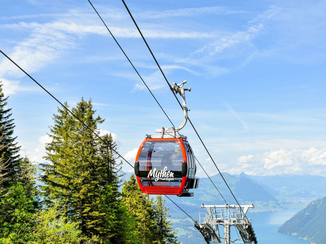 Ticket Rickenbach - Rotenflue (Mythenregion)
