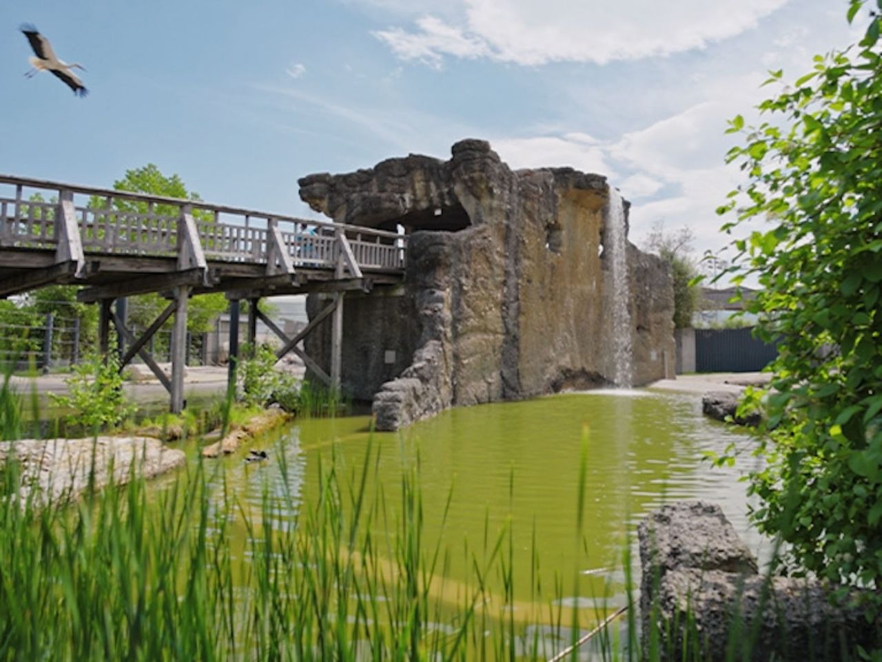 Visita guidata allo Zoo dei bambini di Knies a Rapperswil
