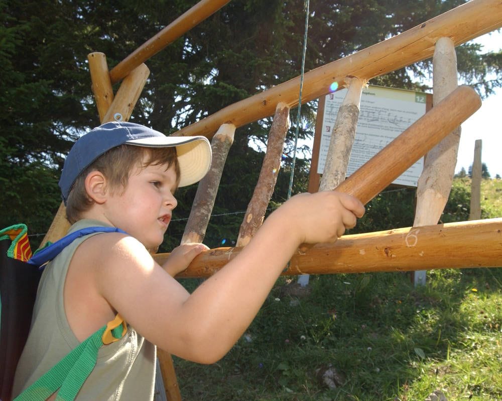 Stockhorn Ticket ab Erlenbach im Simmental