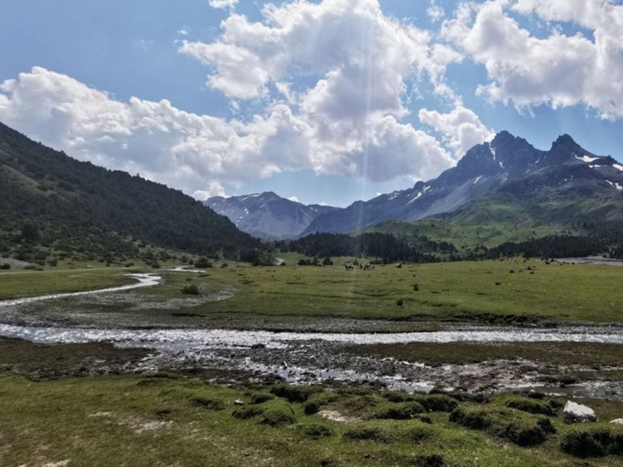 Geführte Wanderung halber Tag am Flumserberg