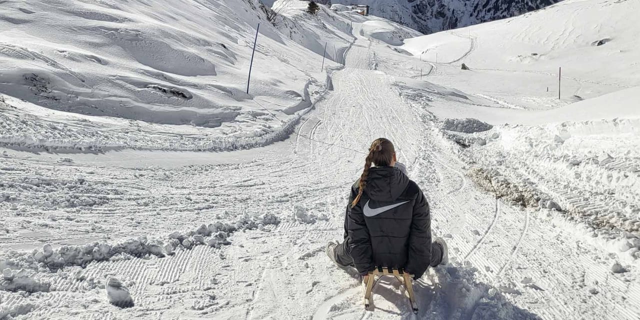 Fürenalp : luge avec billet de téléphérique au départ d’Engelberg