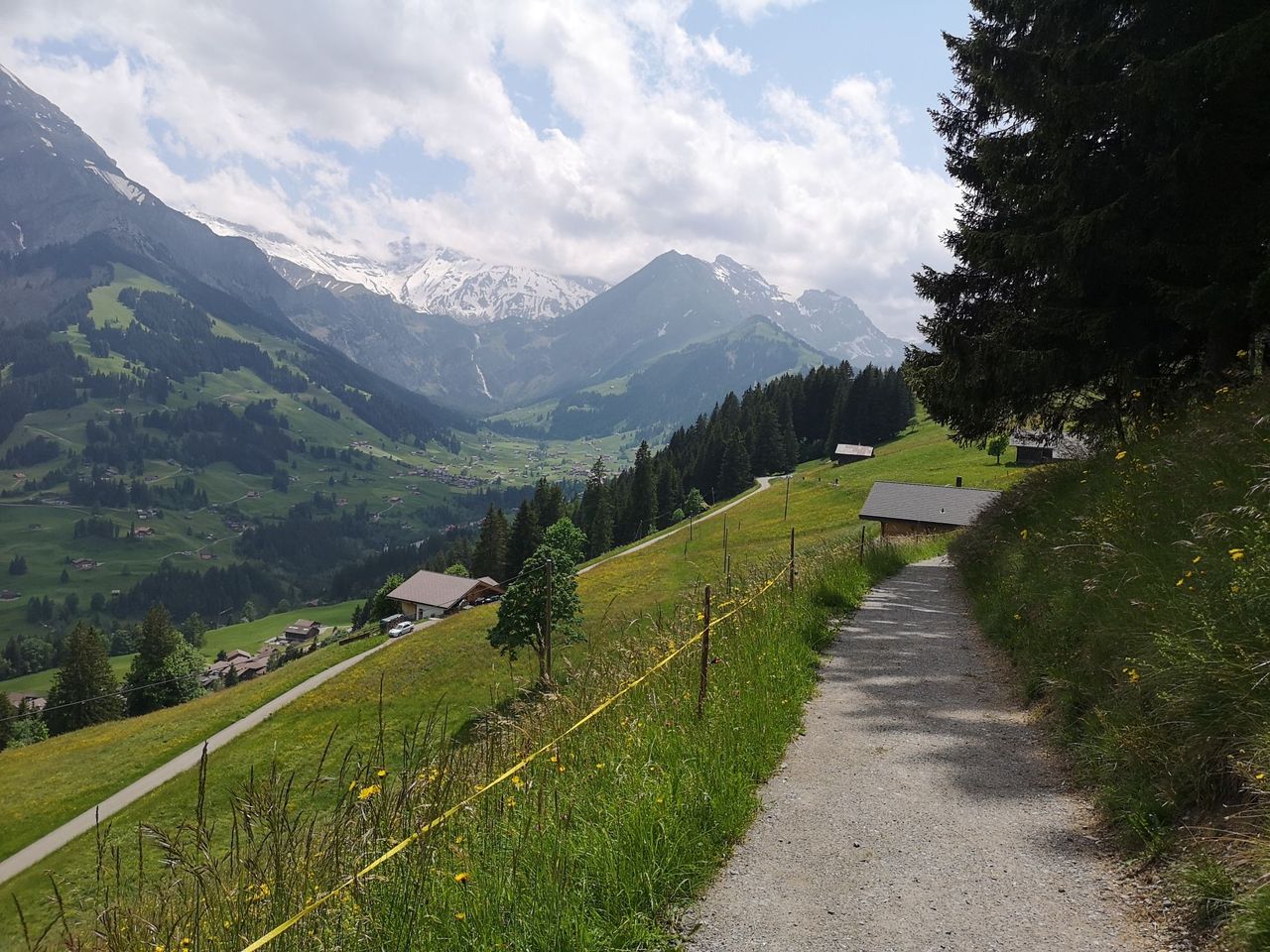 Heilpflanzen und Kräuterspaziergang in Adelboden