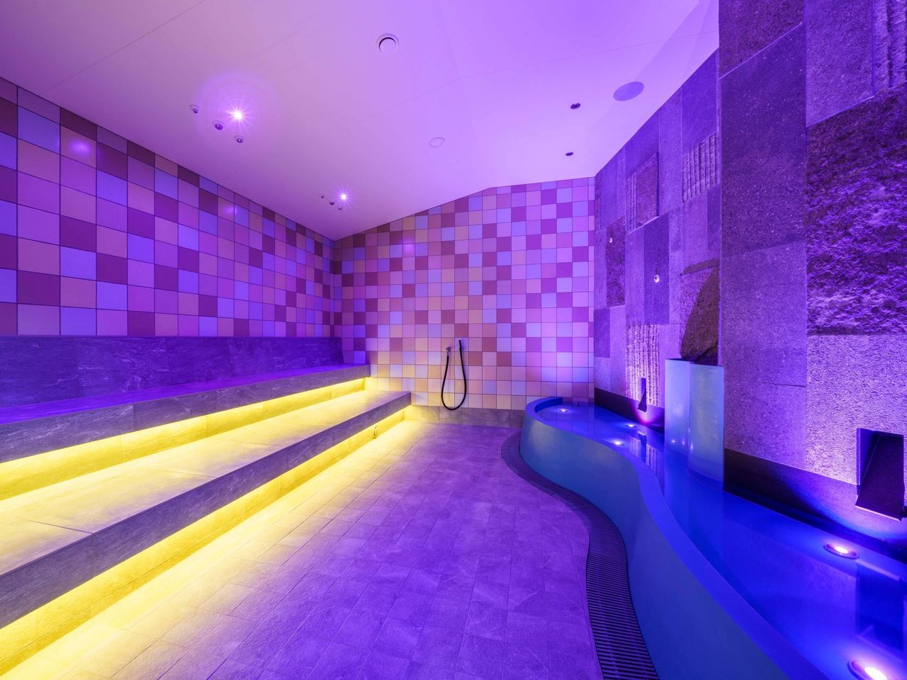 Ticket Aquarena Sauna im Bad Schinznach