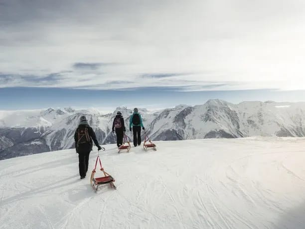 Moosfluh toboggan pass with up to seven rides to Riederalp
