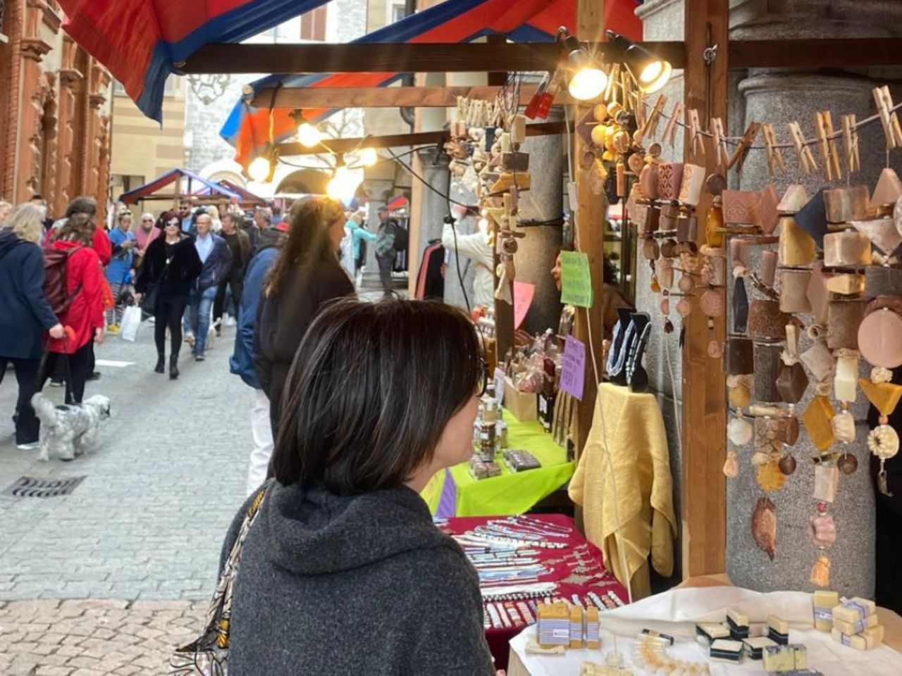 Ab Como (Italien): Privater Tagesausflug Bellinzona Markt und Burgen