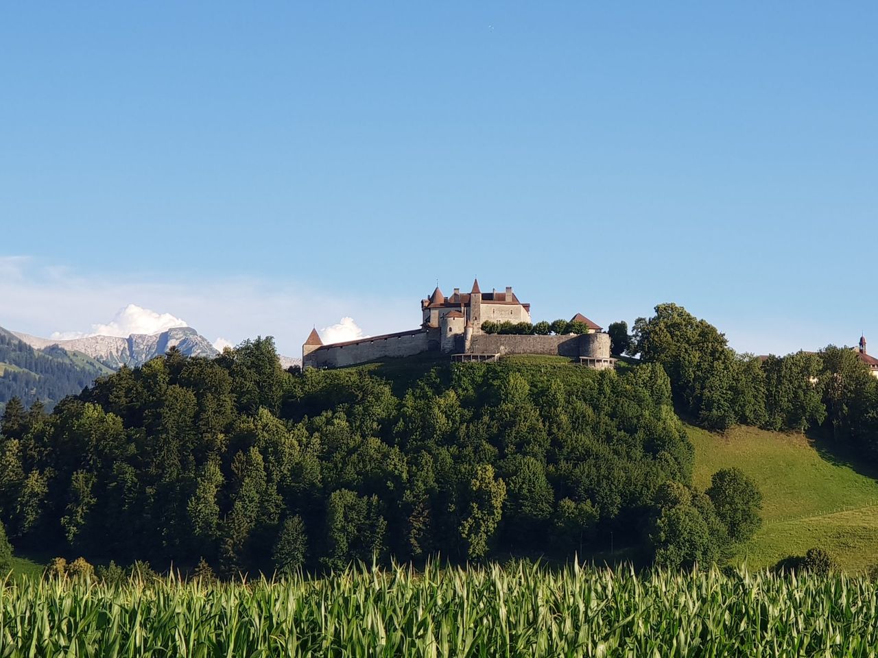 Ab Basel: Tagesausflug nach Gruyères mit Schloss und Schaukäserei