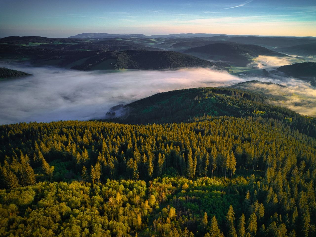 Busfahrt ab Basel: Kultur und Genuss im Schwarzwald