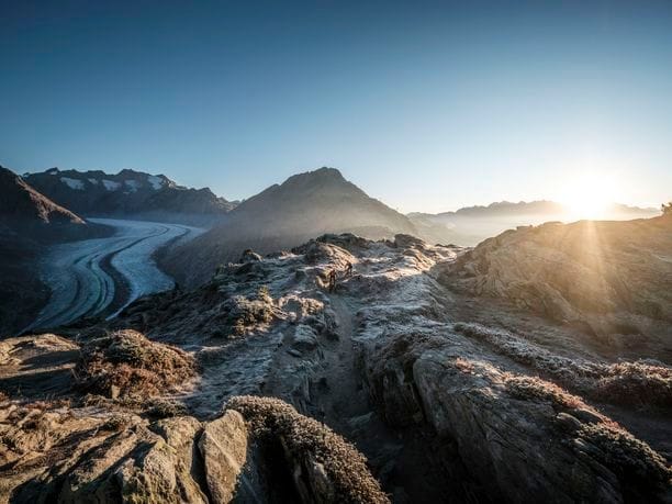 Moosfluh toboggan pass with up to seven rides to Riederalp