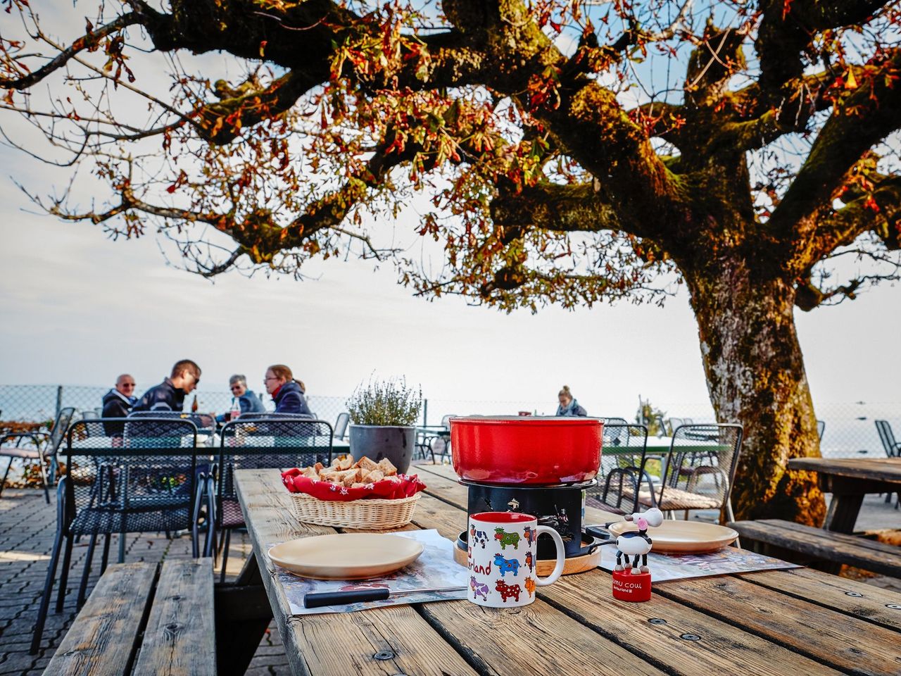 Uetliberg - Felsenegg: Gratwanderung Ausflugsticket ab Zürich HB