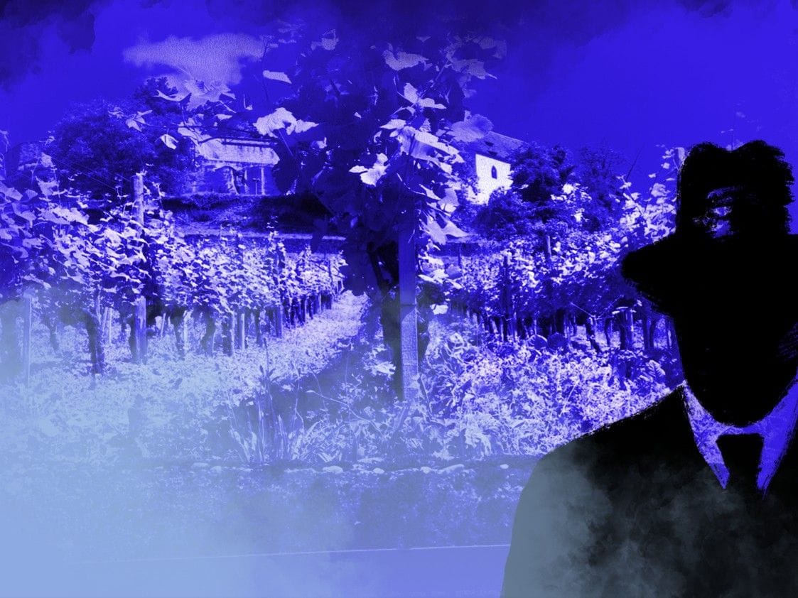 "Find-the-Code: Fluoreszierende Heuschrecken" Outdoor Escape Game Lenzburg