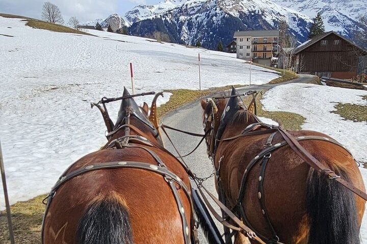 Ab Zürich: Private Pferdekutschenfahrt im Winter mit Schokoladenfabrik