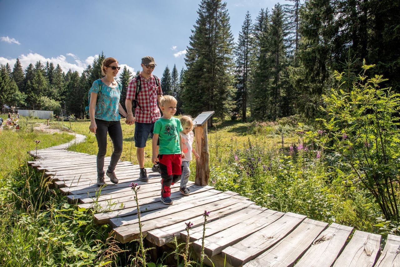 Moor Parcours Brambrüesch self-guided incl. rental WWF moor bag