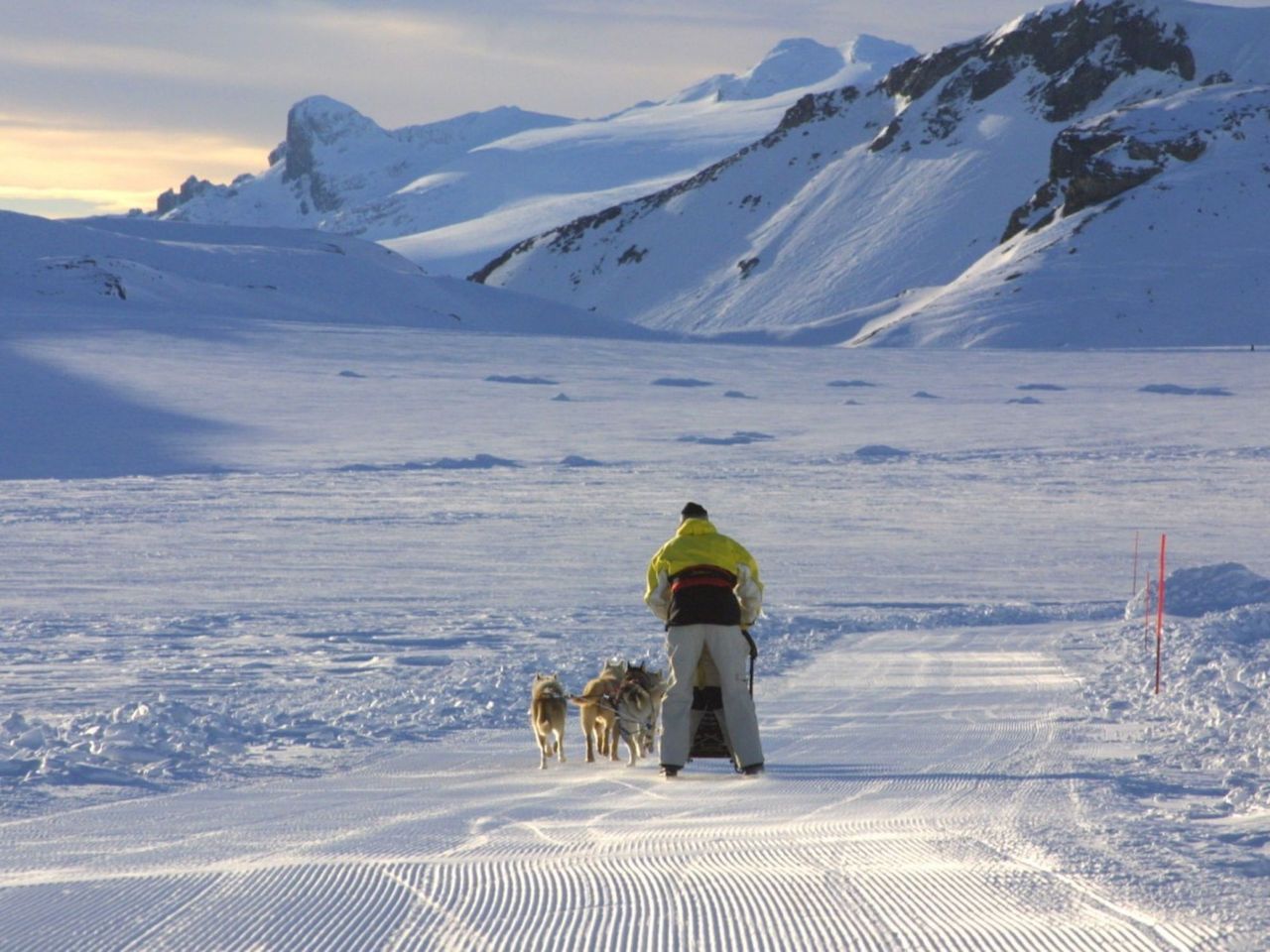 Nordic Adventure with Sled Dogs on the Plaine Morte Glacier