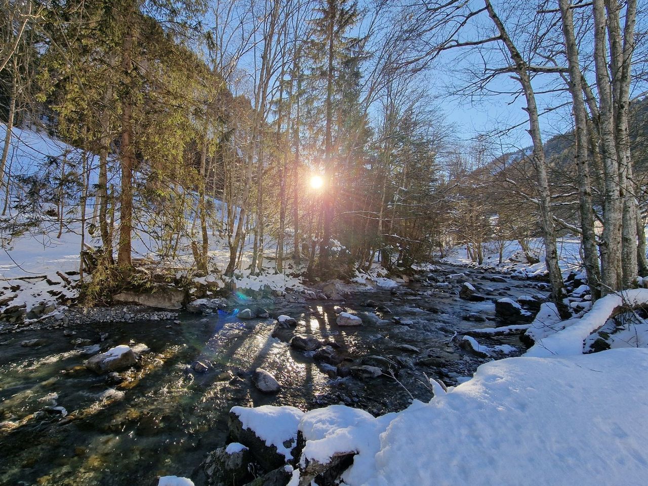 Winter nature adventure in the Weisstannental
