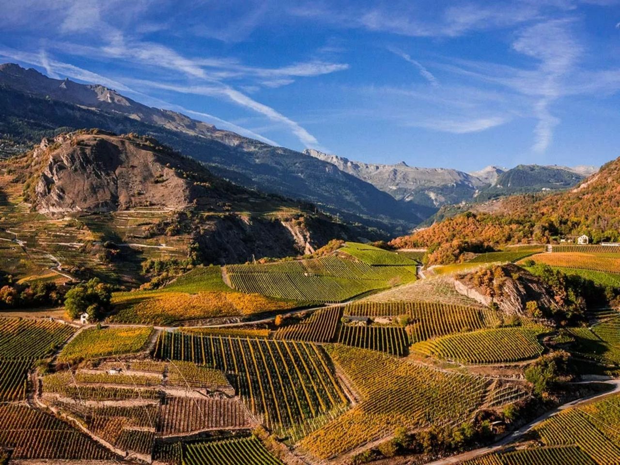 „Geheimnisvoller Wein“ selbstgeführte Blinddegustation am Weinberg in Sion