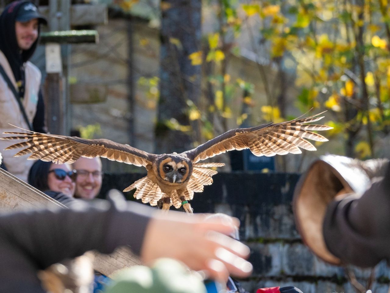 Ticket Sikypark in Crémines