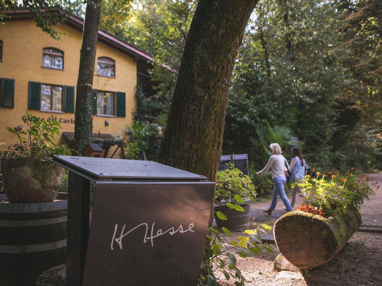 "Auf den Spuren von Hermann Hesse" Ticket Hermann Hesse Museum und Aussenbereich mit Audioguide