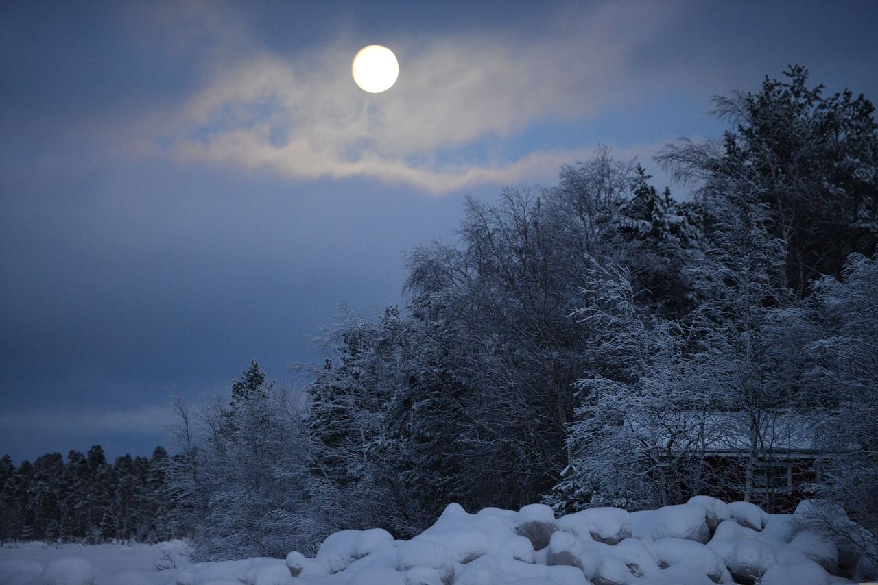 Vollmond Schneeschuhwanderung im Toggenburg