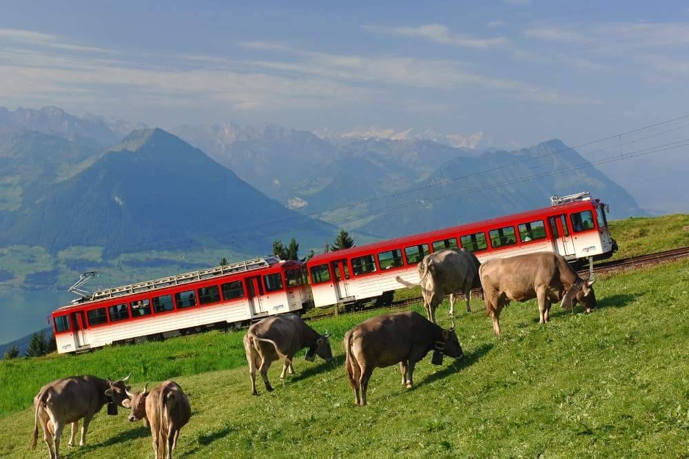 Ab Luzern: Rigi Rundfahrt inkl. Schiff und Bahn