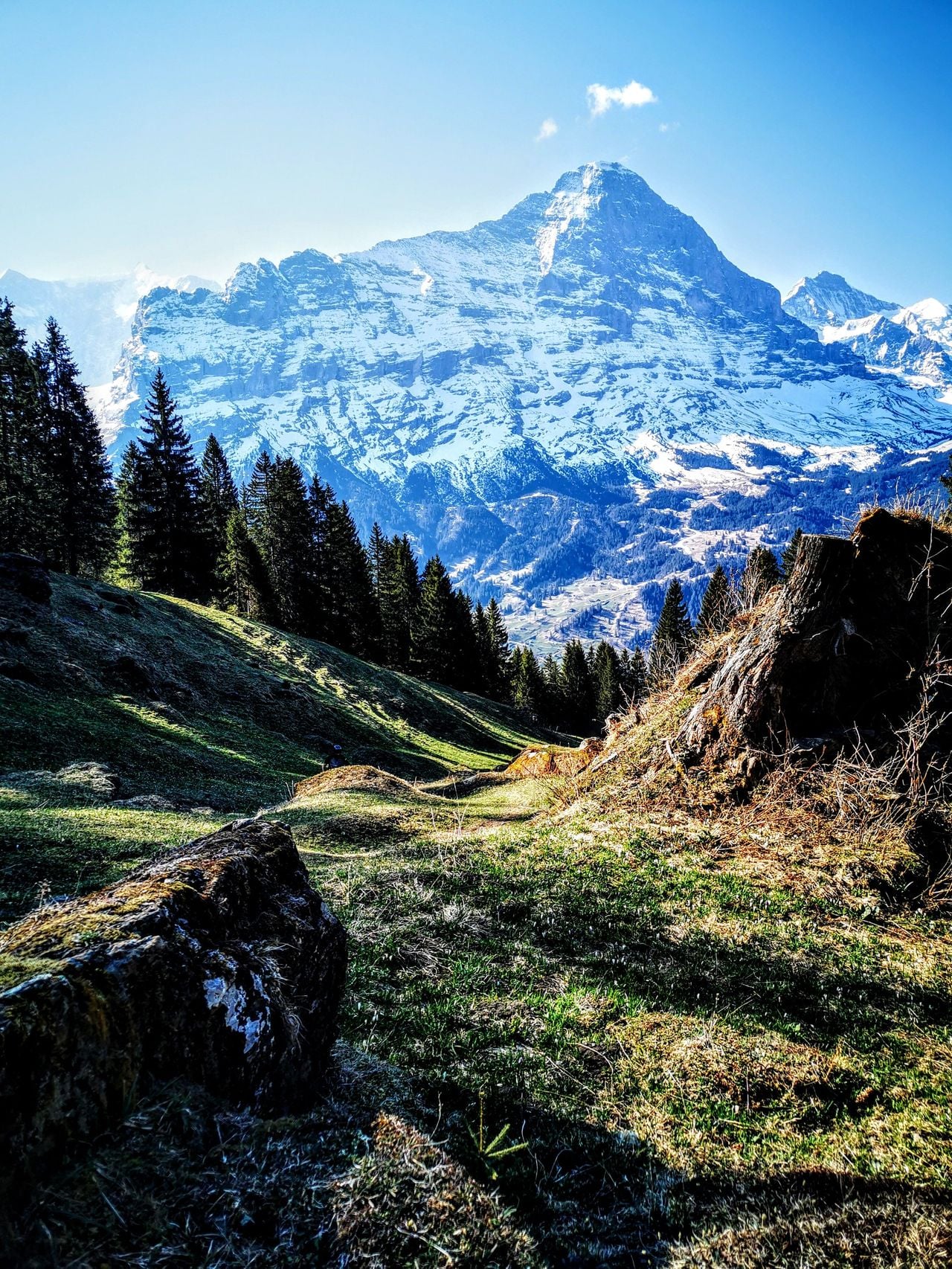 Grindelwald E-Bike Day Tour | Eiger, Mönch and Jungfrau