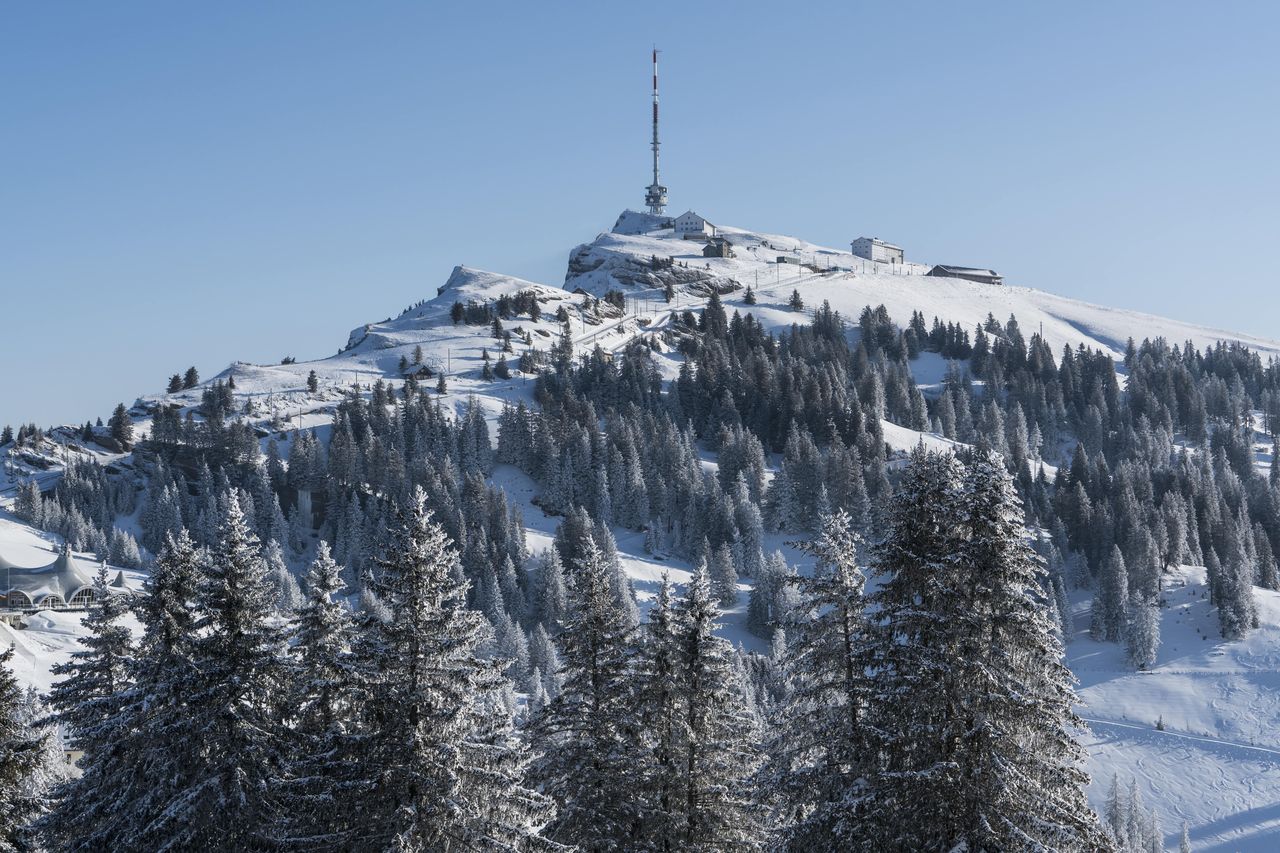 Schlitteln Rigi Tageskarte inkl. Bahnticket