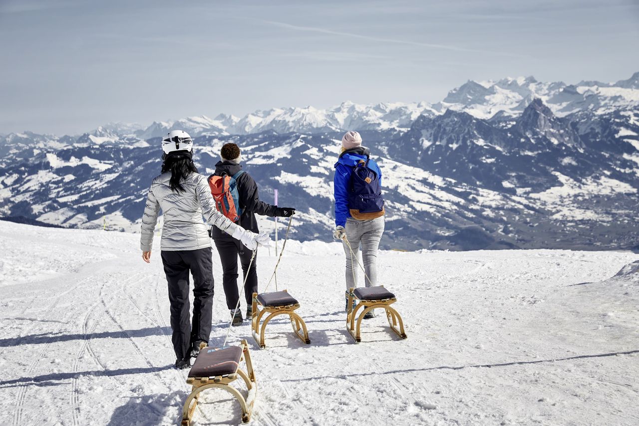 Schlitteln Rigi Tageskarte inkl. Bahnticket